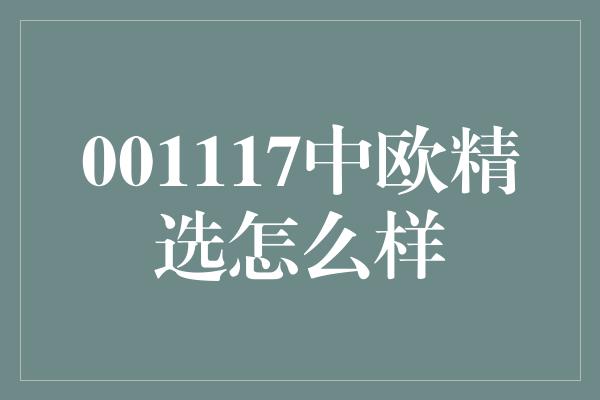 001117中欧精选怎么样