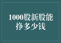 1000股新股投资：潜在收益与风险探讨