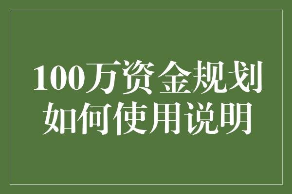 100万资金规划如何使用说明