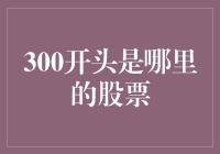 300开头：深圳证券交易所创业板的象征