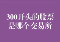 300开头的股票是哪儿来的？哦，是创富人交易所啊！