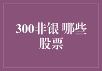 300非银领域：一只股票的疯狂穿越记