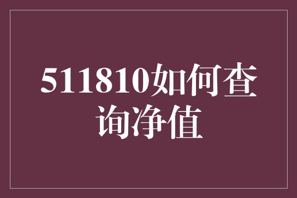 511810如何查询净值