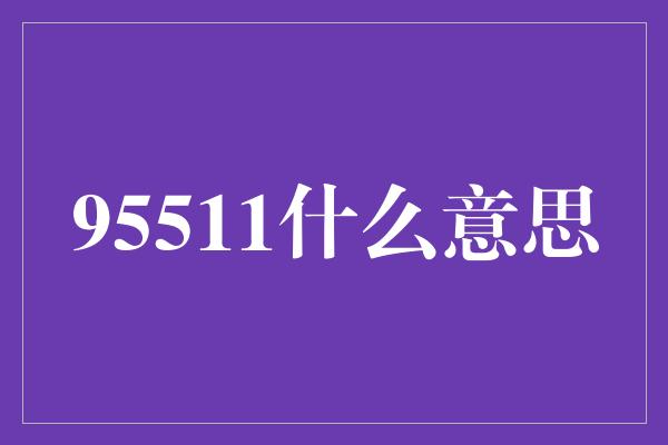 95511什么意思