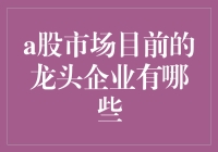 A股市场目前的龙头企业解析与展望