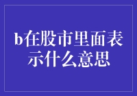 股市中的B：含义深度解析与应用指南