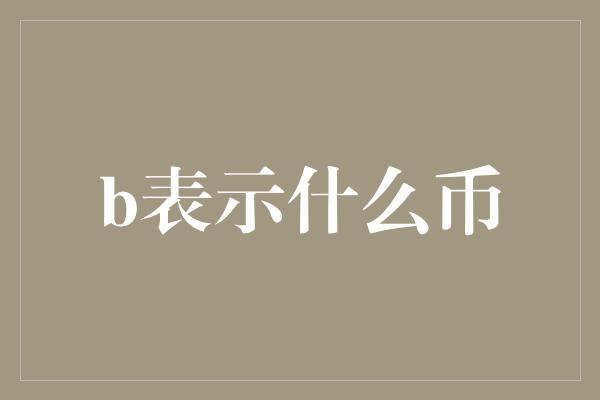 b表示什么币