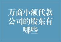 万商小额借贷公司股东都是谁？揭秘背后的资本大鳄！