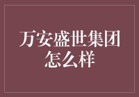 万安盛世集团：引领未来发展的企业标杆