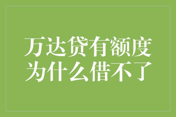 万达贷有额度为什么借不了