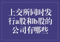 完美双股：上交所既能发A股又能发B股的公司全指南