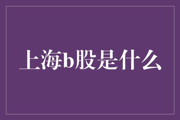 上海b股是什么