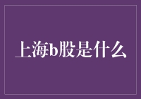 海洋彼岸的B股：上海B股市场深度解析