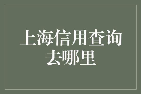 上海信用查询去哪里