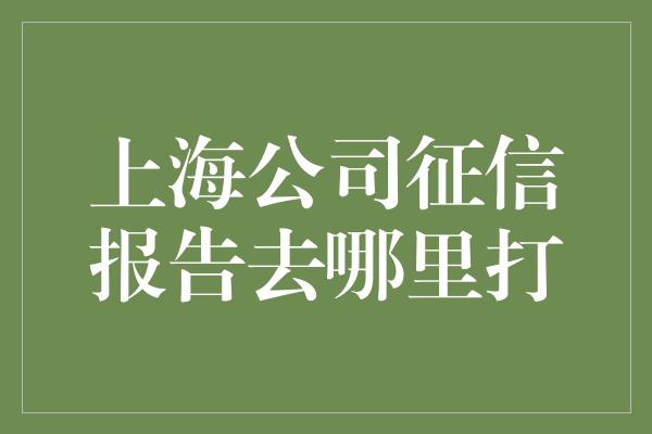 上海公司征信报告去哪里打