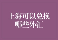 上海外汇兑换指南：掌握跨境支付技巧