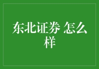 东北证券：深耕细作的本土力量