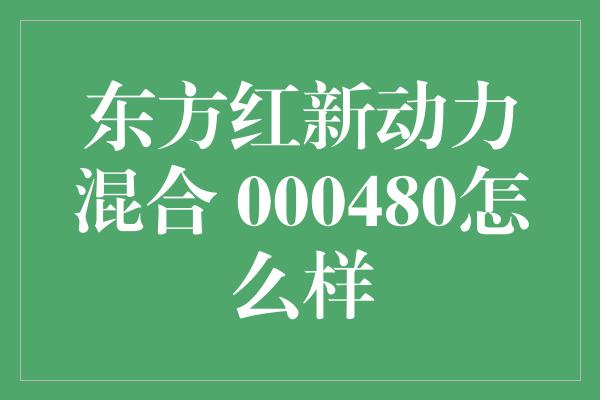 东方红新动力混合 000480怎么样