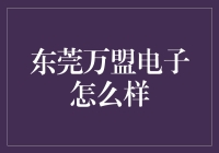 东莞万盟电子：引领电子创新，打造未来科技新篇章