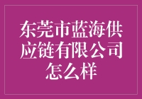 东莞市蓝海供应链有限公司：开启物流行业的新篇章