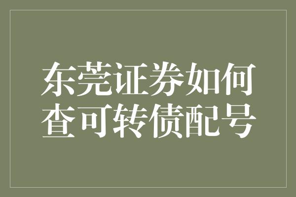 东莞证券如何查可转债配号