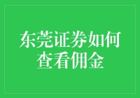 东莞证券如何查看佣金：一场查账大冒险