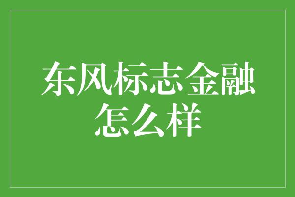 东风标志金融怎么样