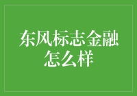 东风标志金融：汽车金融新模式的开拓者