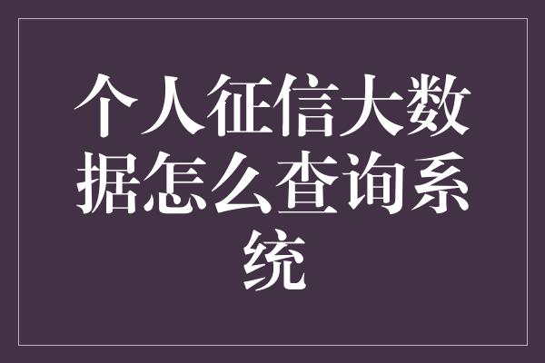 个人征信大数据怎么查询系统