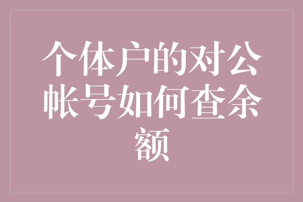 个体户的对公帐号如何查余额