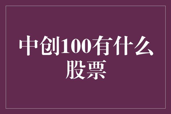 中创100有什么股票