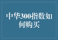 中华300指数投资指南：构建你的篮子