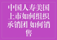 中国人寿美国上市：承销团组织策略与销售推广方案