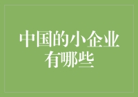 中国小企业的奇妙探险：从街头小吃到科技新星