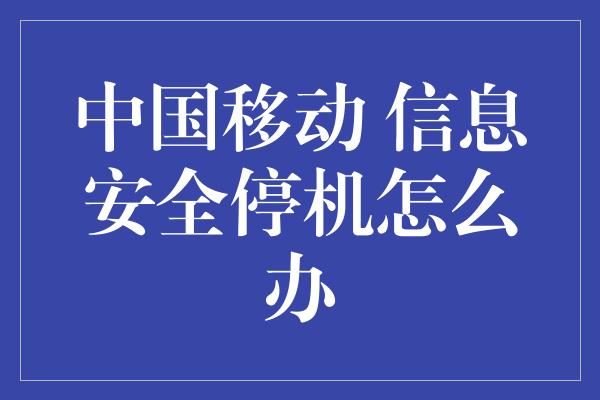 中国移动 信息安全停机怎么办