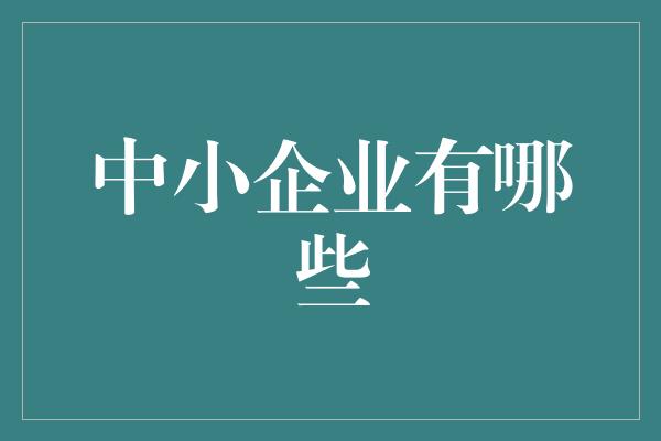 中小企业有哪些