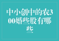 中小创中农300相关股票解析与投资观察