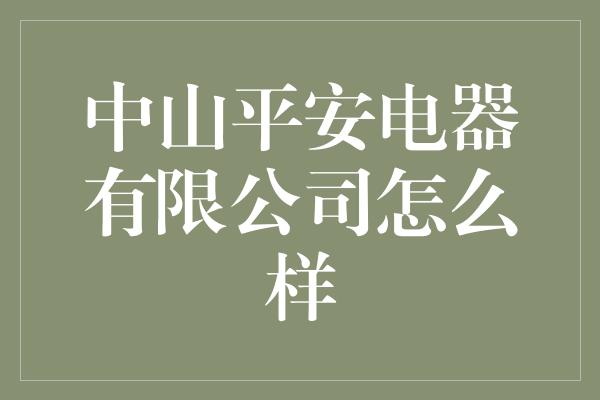 中山平安电器有限公司怎么样