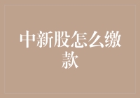 中新股缴款全攻略：从打新到缴款的完美实践方案