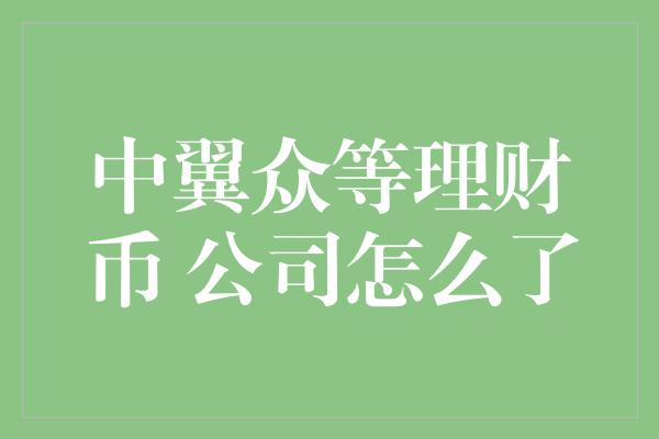 中翼众等理财币 公司怎么了