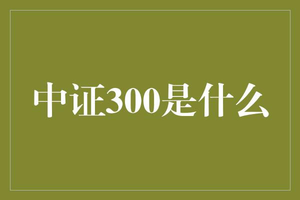 中证300是什么