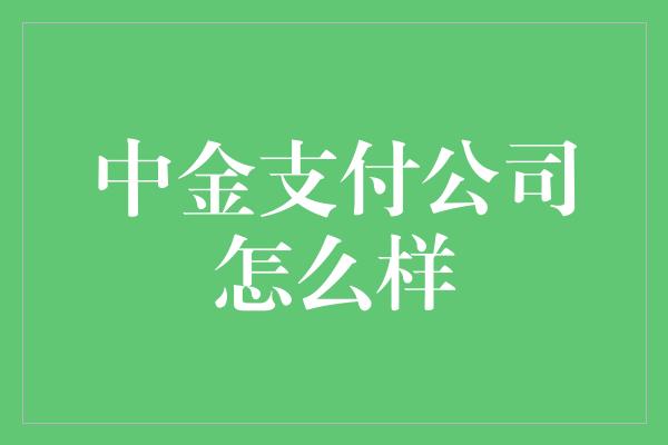 中金支付公司怎么样