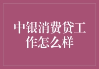 中银消费贷：开启消费金融新时代的窗口工作浅析