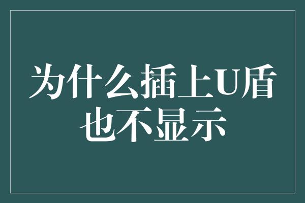 为什么插上U盾也不显示