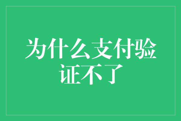 为什么支付验证不了