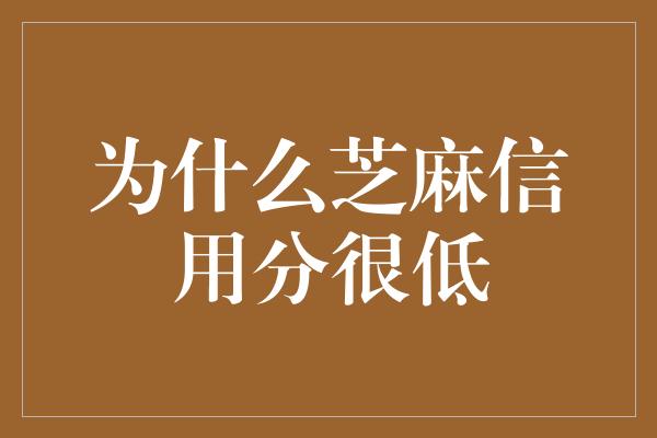 为什么芝麻信用分很低