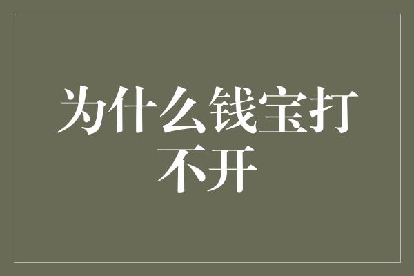 为什么钱宝打不开