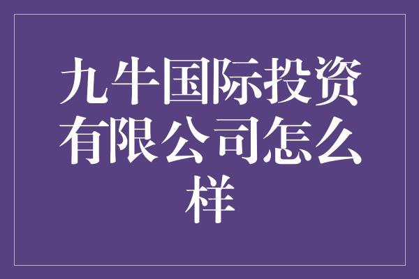 九牛国际投资有限公司怎么样