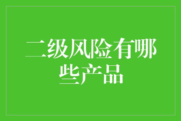 二级风险有哪些产品