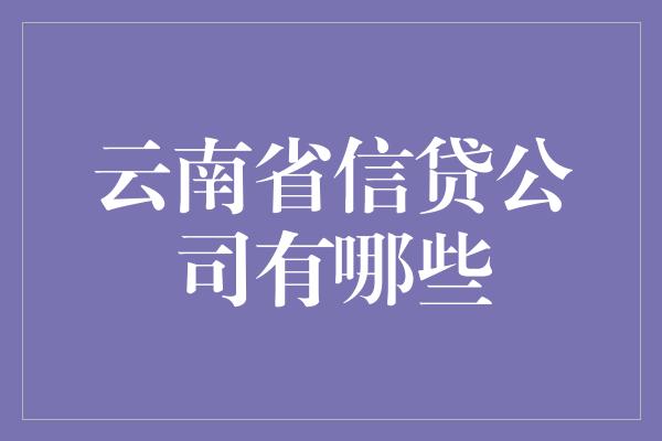 云南省信贷公司有哪些